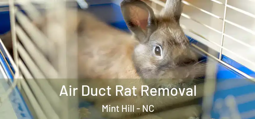  Air Duct Rat Removal Mint Hill - NC