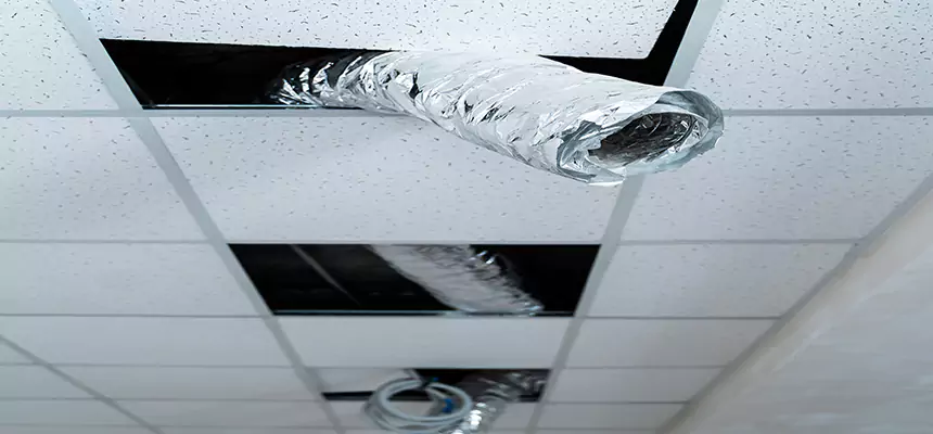 Affordable HVAC Sanitizing After Pest Removal in Mint Hill