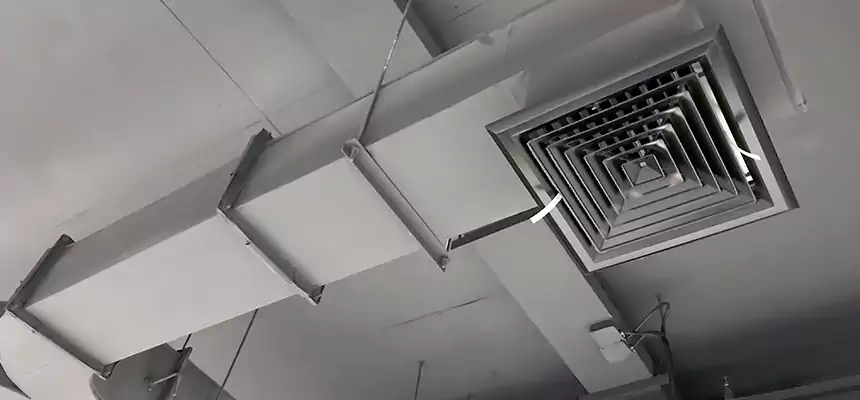 Restorative Allergy Relief Vent Cleaning – Coil, Blower & Housing Detail in Mint Hill