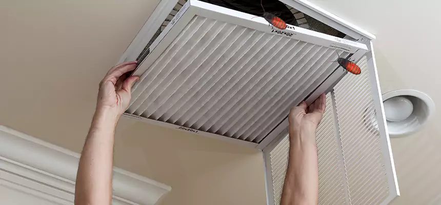 Our Insect Removal from Air Ducts Services in Mint Hill, NC