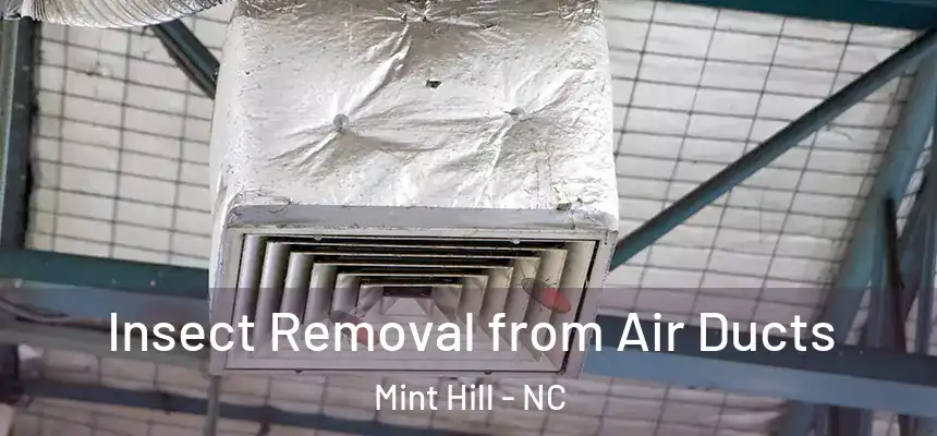  Insect Removal from Air Ducts Mint Hill - NC