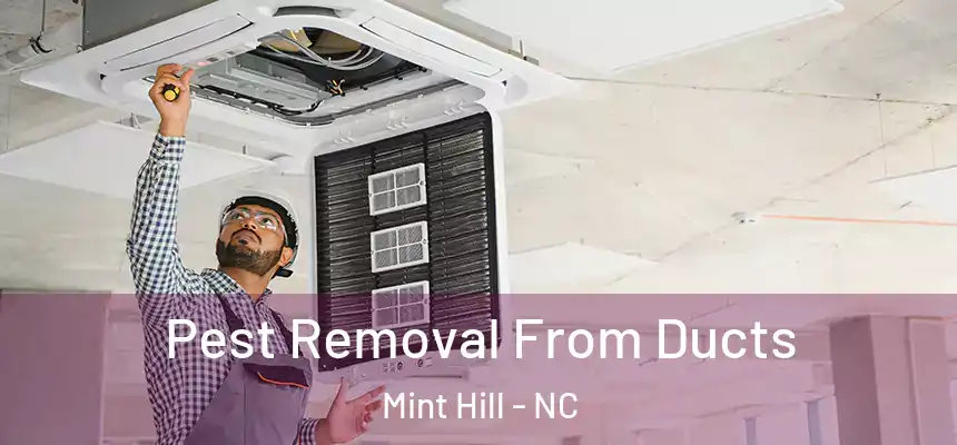  Pest Removal From Ducts Mint Hill - NC