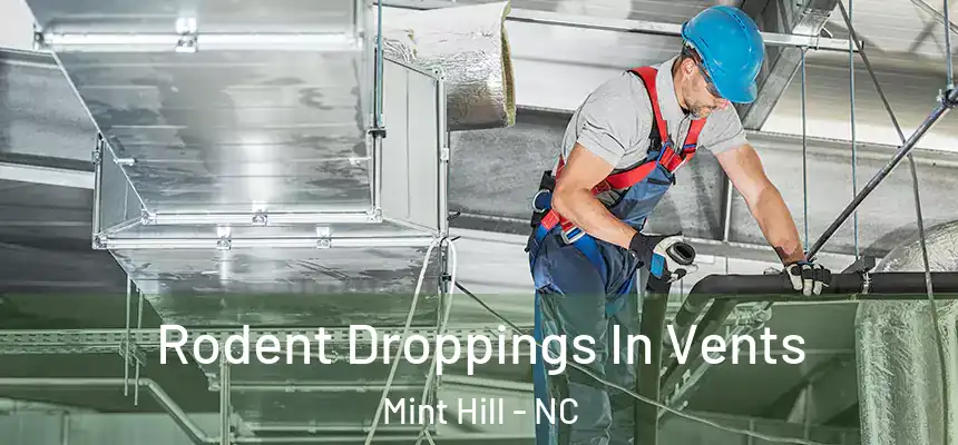  Rodent Droppings In Vents Mint Hill - NC