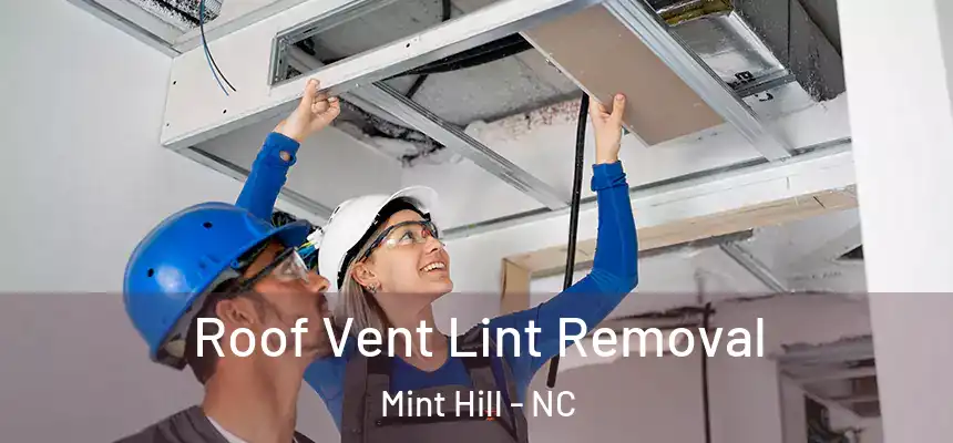  Roof Vent Lint Removal Mint Hill - NC