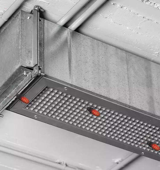 About Air Duct Cockroach Removal in Mint Hill, NC
