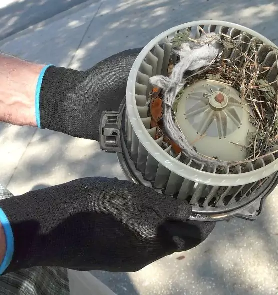 About Air Duct Mice Removal in Mint Hill, NC