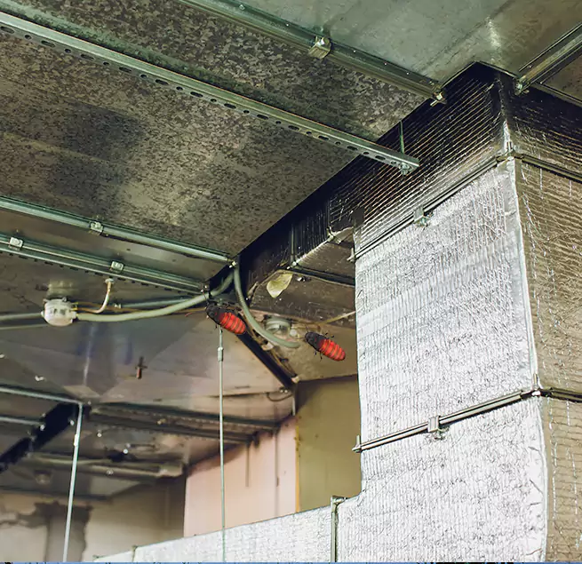 Why Homeowners & Businesses Trust Us in Mint Hill, NC?