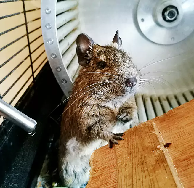 Why Homeowners & Businesses Trust Us Mint Hill, NC